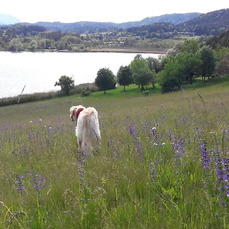 Hotel Am See *