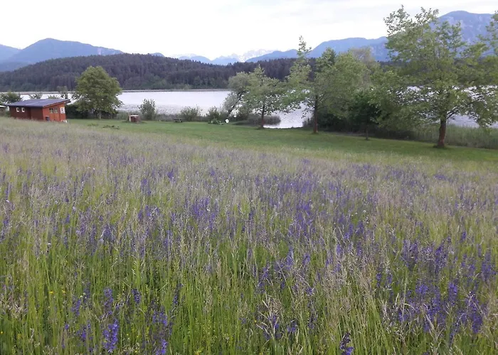 Am See * Obersammelsdorf